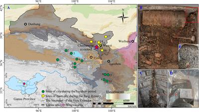 The lifestyle of Tuyuhun royal descendants: Identification and chemical analysis of buried plants in the Chashancun cemetery, northwest China